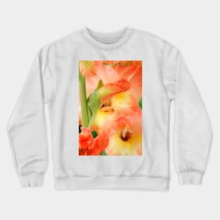 Gladiolus  'Tabasco' Crewneck Sweatshirt